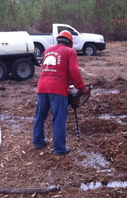 The Value of Professional Plant Healthcare