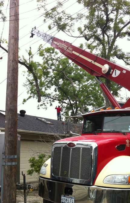 Crane-Assisted Tree Removal