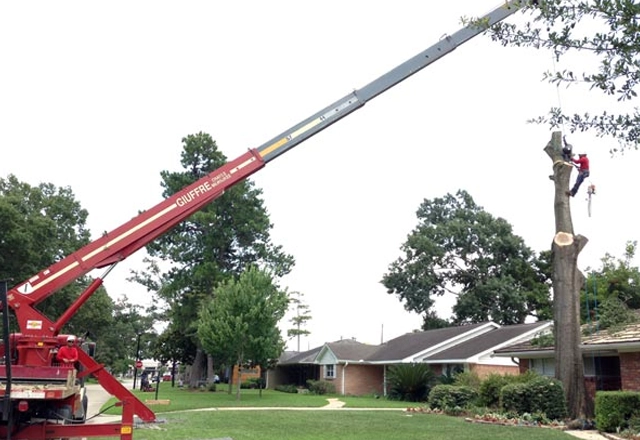 Crane-Assisted Tree Removal