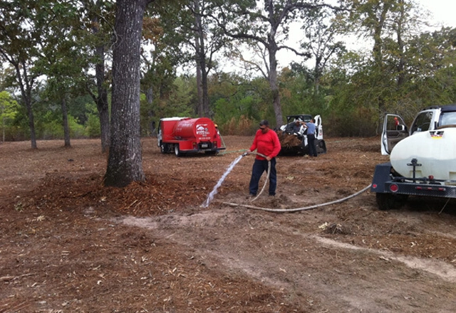 Transform Your Landscape with Expert Tree Care Solutions