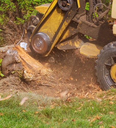 Stump Grinding