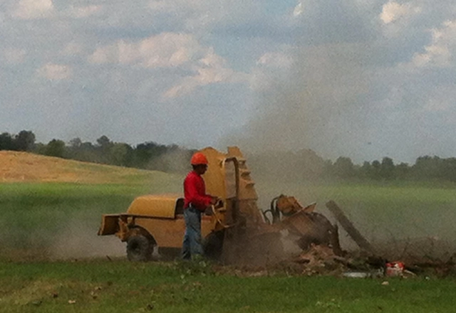 Stump Grinding
