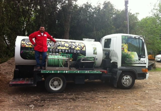 Expert Tree and Plant Healthcare in Houston, TX