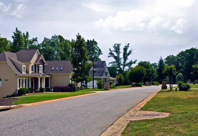 Expert Tree Services