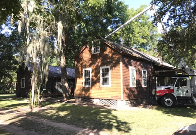 Expert Tree Preservation for Houston Landscapes