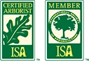 ISA